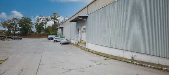Oficina en Gross-Enzersdorf, Austria 250 m² No. 136739 18