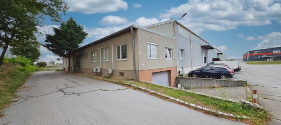 Oficina en Gross-Enzersdorf, Austria 250 m² No. 136739 20