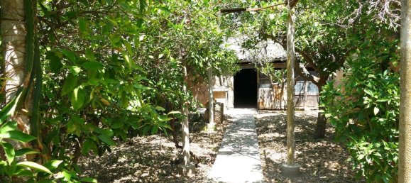 4 Schlafzimmer Haus in Mallorca, Spain, Nr. 153587 19