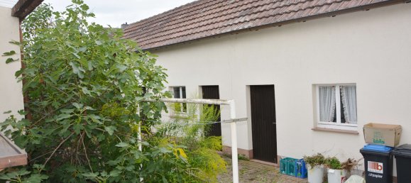 4 bedrooms House in Rhein-Pfalz, Germany No. 223917 17
