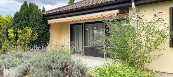 Бунгало с 4 комнатами в Берндорф, Австрия № 251637 14