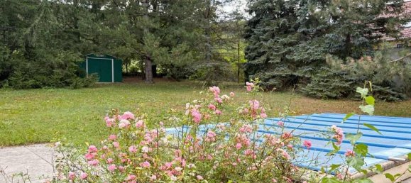 Бунгало с 4 комнатами в Берндорф, Австрия № 251637 7