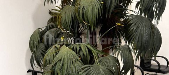 2غرفة عقار تجاري في Rome, Italy رقم 203049 11