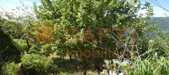 5 chambres Maison à Cristoval, Portugal No. 96061 17