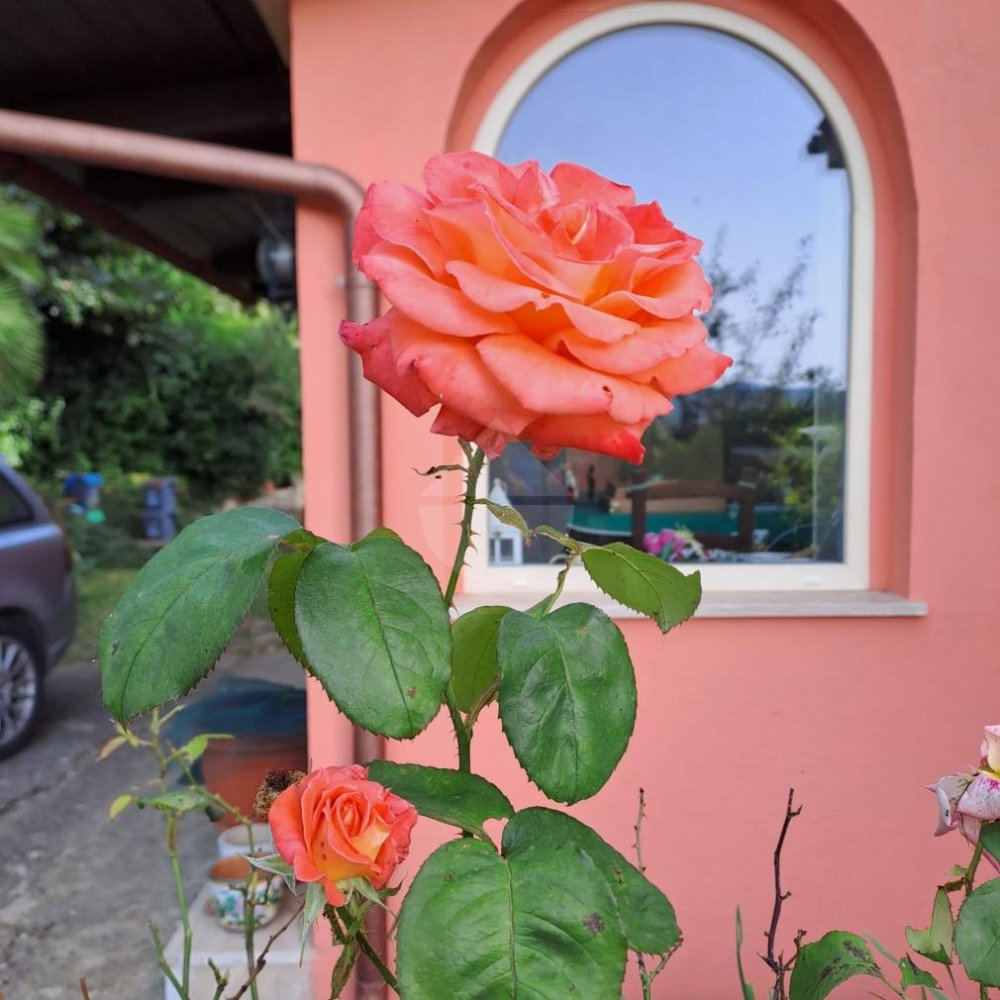 7-Zimmer Villa in Sutri, Italy, Nr. 181575