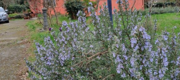 7-Zimmer Villa in Sutri, Italy, Nr. 181575 3