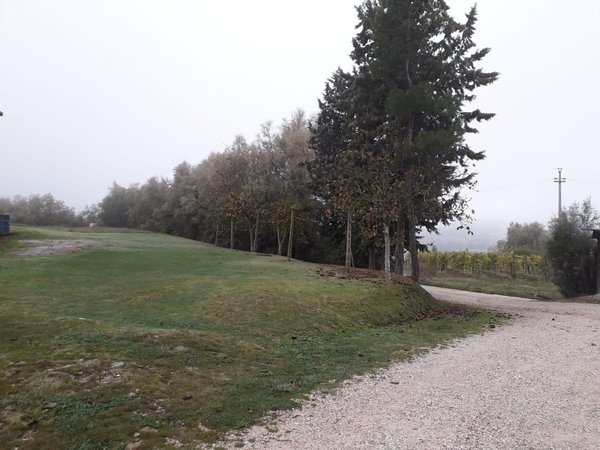 10غرفة منزل في Urbino, Italy رقم 131479