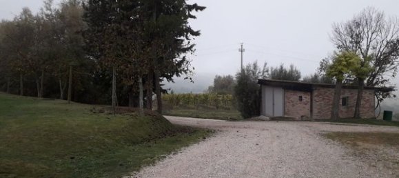 10غرفة منزل في Urbino, Italy رقم 131479 2