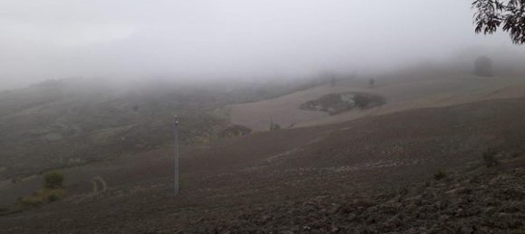 10غرفة منزل في Urbino, Italy رقم 131479 6