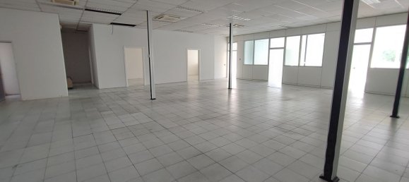 Gewerbliche Immobilie in Bagno a Ripoli, Italy 490m², Nr. 315544 9