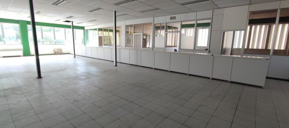 Gewerbliche Immobilie in Bagno a Ripoli, Italy 490m², Nr. 315544 13