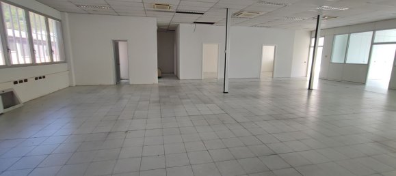 Gewerbliche Immobilie in Bagno a Ripoli, Italy 490m², Nr. 315544 10