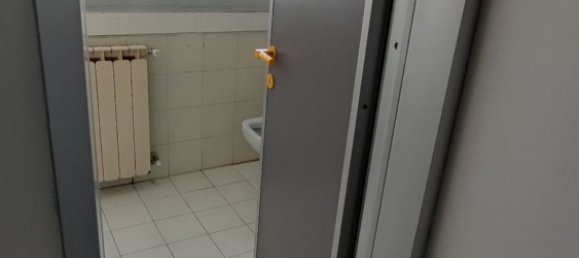 Gewerbliche Immobilie in Bagno a Ripoli, Italy 490m², Nr. 315544 6