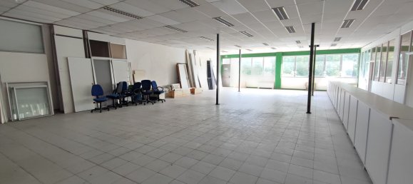 Gewerbliche Immobilie in Bagno a Ripoli, Italy 490m², Nr. 315544 14