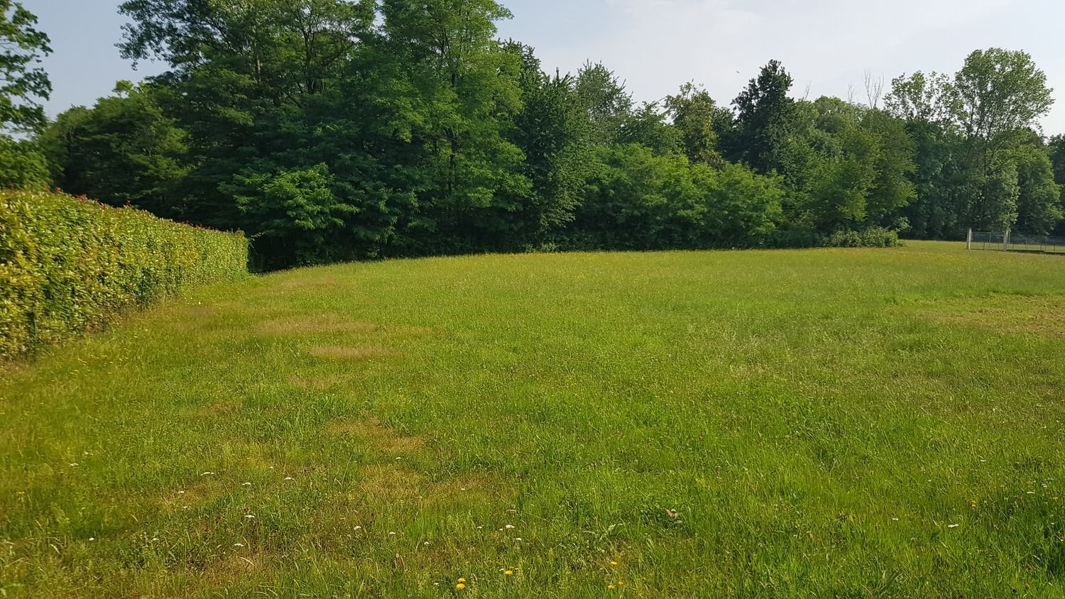 715m² Land in Agrate Conturbia, Italy No. 66381