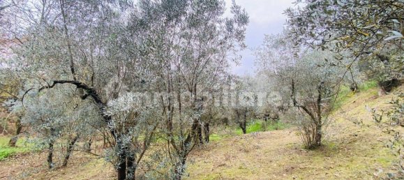 1 bedroom Apartment in Poggio Moiano, Italy No. 158837 8