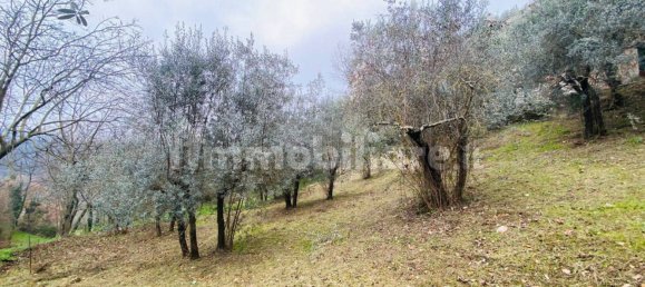 1 bedroom Apartment in Poggio Moiano, Italy No. 158837 29