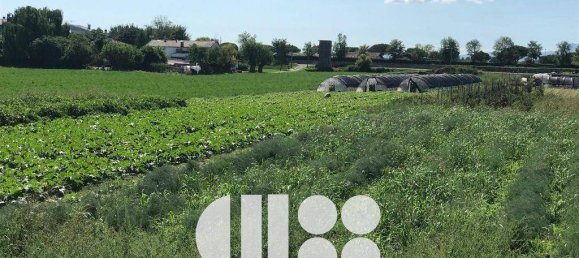 Земельный участок 11806м² в Чезенатико, Италия № 342286 5