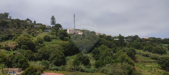 Terreno em Colares, Portugal 8920 m² N.º 84248 3