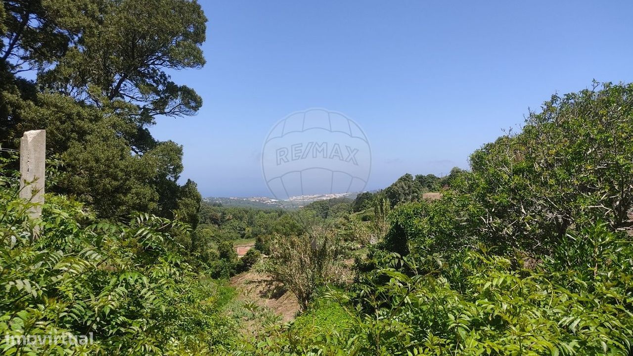 Terreno em Colares, Portugal 8920 m² N.º 84248