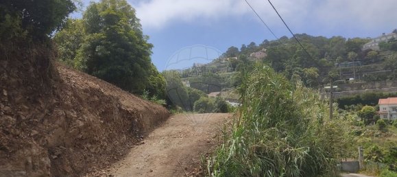 Terreno em Colares, Portugal 8920 m² N.º 84248 4