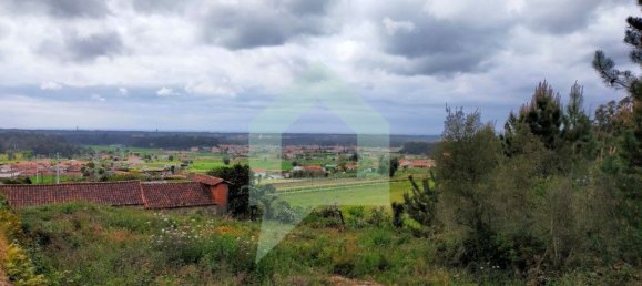 Grundstück in Barcelos, Portugal 25000m², Nr. 25921 10