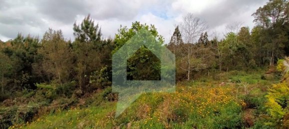 Grundstück in Barcelos, Portugal 25000m², Nr. 25921 17