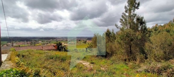 Grundstück in Barcelos, Portugal 25000m², Nr. 25921 21