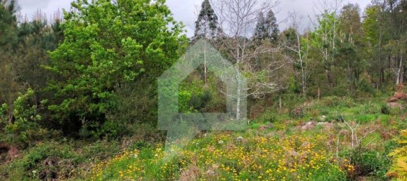 Grundstück in Barcelos, Portugal 25000m², Nr. 25921 4