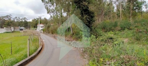 Grundstück in Barcelos, Portugal 25000m², Nr. 25921 8