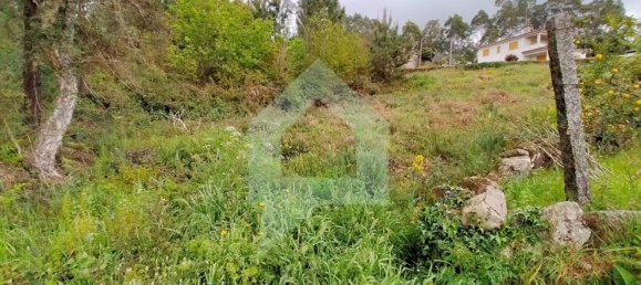 Grundstück in Barcelos, Portugal 25000m², Nr. 25921 2