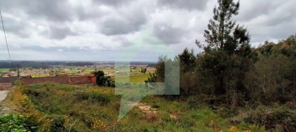 Grundstück in Barcelos, Portugal 25000m², Nr. 25921 16