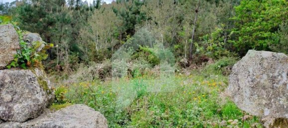 Grundstück in Barcelos, Portugal 25000m², Nr. 25921 3