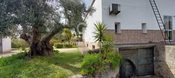 6 rooms Villa in Crispiano, Italy No. 303440 4