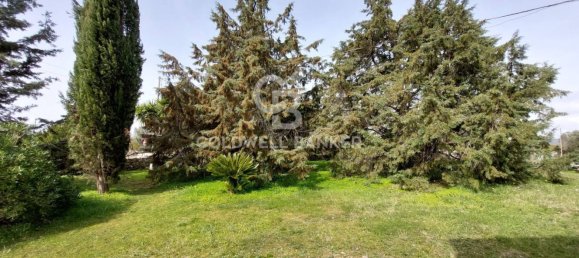 6 rooms Villa in Crispiano, Italy No. 303440 7