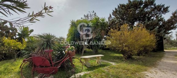 6 rooms Villa in Crispiano, Italy No. 303440 16