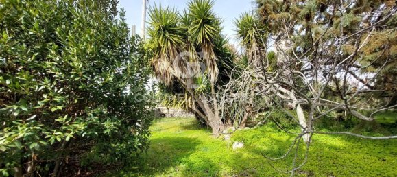 6 rooms Villa in Crispiano, Italy No. 303440 18