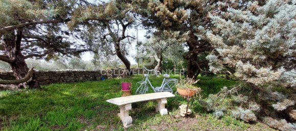 6 rooms Villa in Crispiano, Italy No. 303440 17