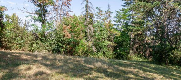 Terrain à Nickelsdorf, Austria No. 55678 12