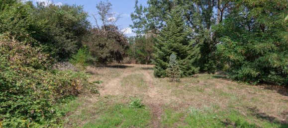 Terrain à Nickelsdorf, Austria No. 55678 2