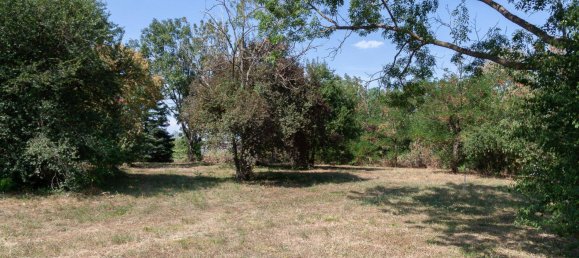 Terrain à Nickelsdorf, Austria No. 55678 10
