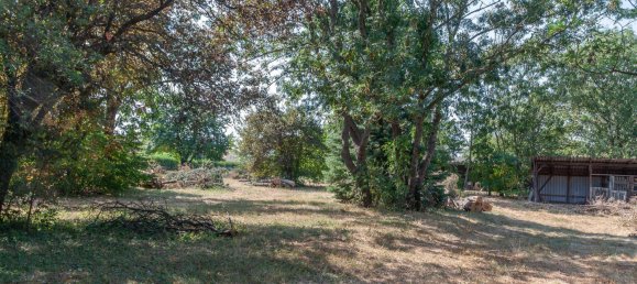 Terrain à Nickelsdorf, Austria No. 55678 15