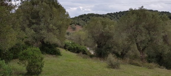 13289 m² terreno en venta en Chalkidiki, Central Macedonia, Macedonia and Thrace, Greece № 95176 2