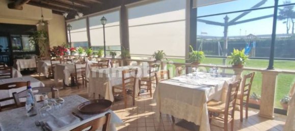 5 rooms Commercial property in Rome, Italy No. 223800 8