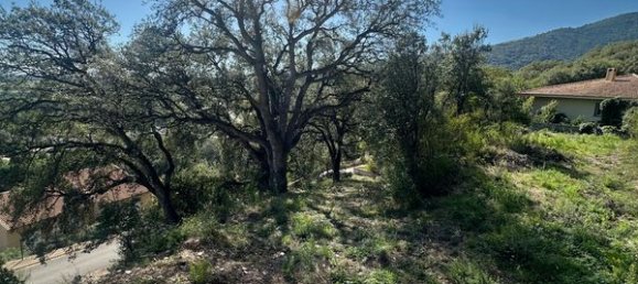 قطعة أرض في Lucciana, France 1600متر مربع رقم 215747 3