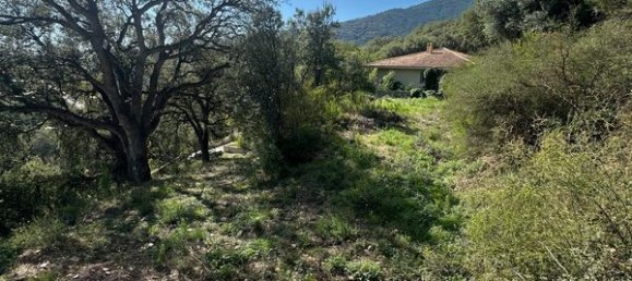 قطعة أرض في Lucciana, France 1600متر مربع رقم 215747 2