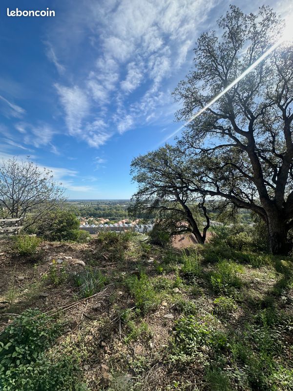  قطعة أرض في Lucciana, France 1600متر مربع رقم 215747