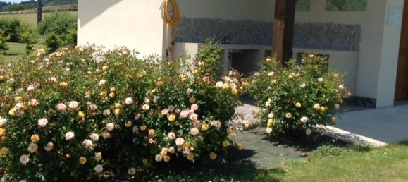 2 bedrooms Commercial property in Dordogne, France No. 1912 17