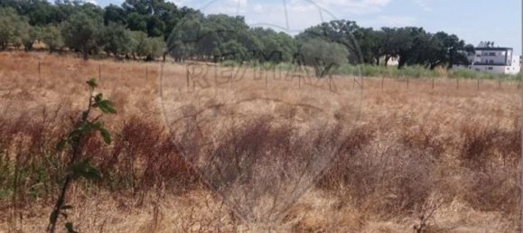  قطعة أرض في Palmela, Portugal 16250متر مربع رقم 137759 5