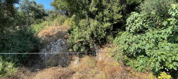 Propiedad comercial de 3 dormitorios en Corfu, Greece No. 3057 29